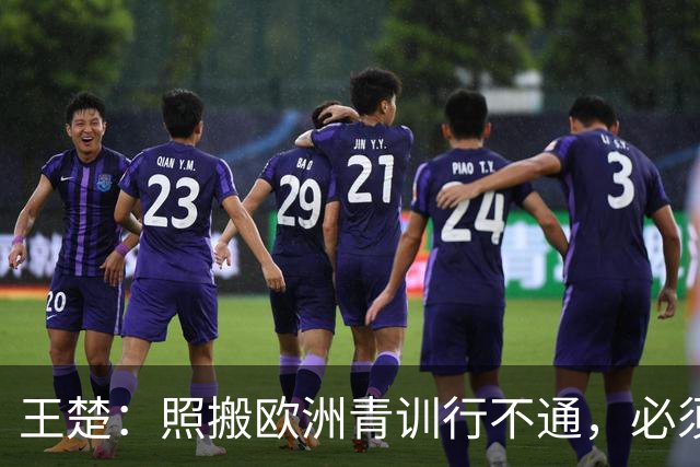王楚：照搬欧洲青训行不通，必须培养出有自主决策能力的球员